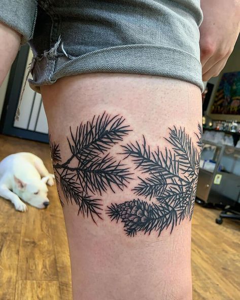 Botanical Cuff Tattoo, Pine Bough Tattoo, Pine Leaf Tattoo, Conifer Tattoo, Tattoo Pinecone, Blue Spruce Tattoo, Wildlife Tattoo Sleeve, Pine Needle Tattoo, Pine Branch Tattoo