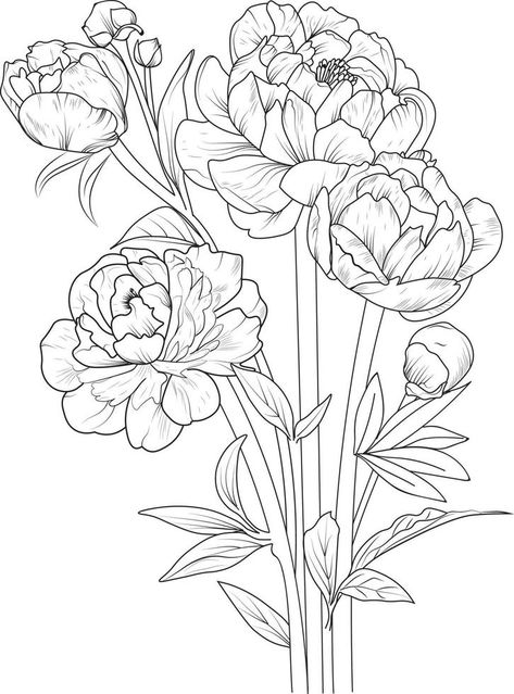 Peony flower drawing, Isolated buttercup flower hand drawn vector sketch illustration, botanic collection branch of leaf buds natural collection coloring page floral bouquets engraved ink art. Buttercup Illustration Flower, Peonies Bouquet Drawing, Peony Flower Illustration, Floral Bouquet Drawing, Peony Flower Drawing, Flowers Bouquet Drawing, Sis Tattoo, Flower Bouquet Drawing, Line Drawing Tattoos