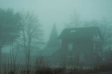 Haunted Cabin Aesthetic, Haunted Cabin, Ash Williams, Cabin Aesthetic, How To Disappear, Horror Themes, Evil Dead, Short Films, Haunted House