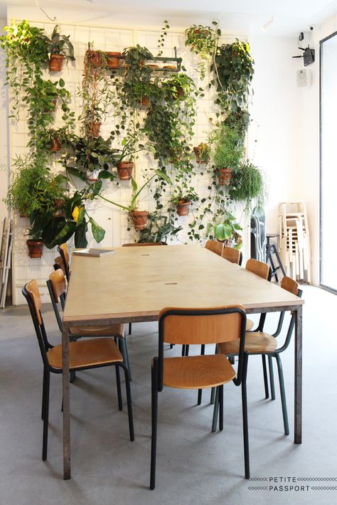 vertical garden plant wall Plants From Ceiling, Hang Plants From Ceiling, Hang Plants, Cafe Inspiration, Outdoors Indoors, Indoor Plant Wall, Hanging Plant Wall, Hanging Plants Indoor, Corso Como