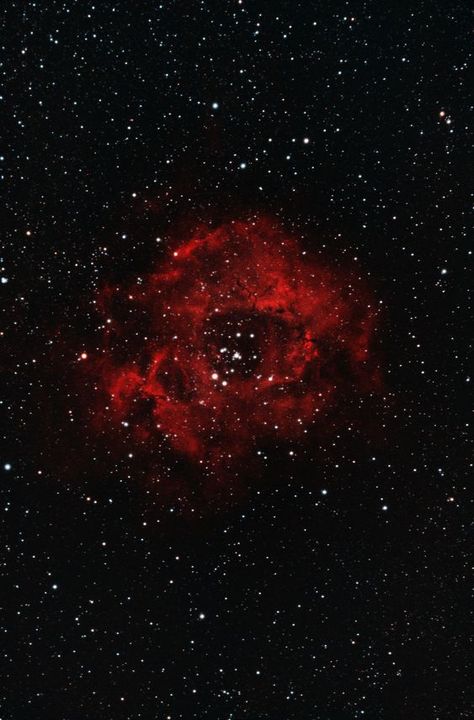 Skull Nebula, Cosmic Rose, Hubble Space Telescope Pictures, Rosette Nebula, Moon And Stars Wallpaper, Nebula Wallpaper, Celestial Objects, Cosmos Space, Red Space