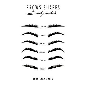 Bushy Eyebrows Drawing, Natural Eyebrow Shape, Natural Brows Shape, Different Brow Shapes, Poster Microblading, Eyebrow Microblading Shapes, Natural Eyebrows Shaping, Brow Bar Ideas, Microblading Eyebrows Shape