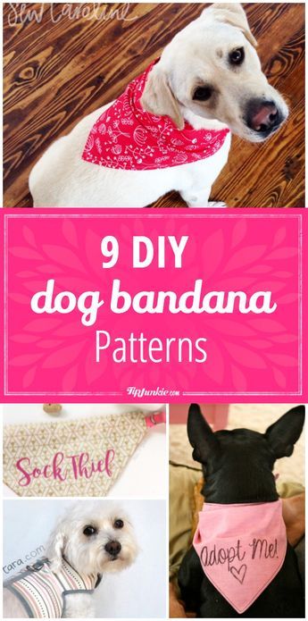 9 DIY Dog Bandana Patterns - Tap the pin for the most adorable pawtastic fur baby apparel! You'll love the dog clothes and cat clothes! <3 Diy Dog Bandana, Dog Bandana Pattern, Dog Bandanna, Bandana Pattern, Easiest Dogs To Train, Dog Clothes Diy, Dog Clothes Patterns, Dog Projects, Dog Crafts