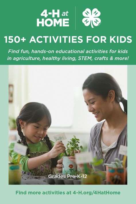 4-H at Home over 150 activities for kids of all ages 4-h Activities, 4h Cloverbud Activities, Steam Crafts, 4 H Clover, 4h Ideas, 4h Projects, Leadership Ideas, Educational Activities For Kids, Learn And Grow