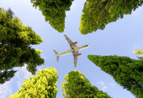 One U.S. airline is making a serious commitment to the Earth this year. The post This Airline Aims to Become the Most-Eco Friendly in the Country appeared first on Reader's Digest. Just Landed Airport, Honolulu Airport, Air France Premium Economy, Brand Profile, World Environment Day 2022, Aviation Fuel, Environmental Change, Air Traffic Control, Air New Zealand