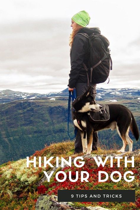 Dog Hiking Gear, Dog Hiking, Hiking Essentials, Dog List, Dog Essentials, Hiking Dogs, Puppy Stuff, Dog Backpack, Dog Adventure