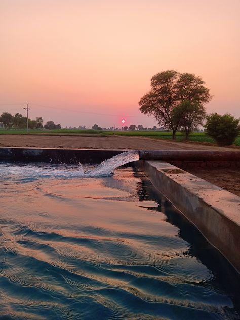 Irrigation System in Punjab's Villages by using Turbine (Motor) to irrigate the crops | Village Life | Nature | Aesthetics Views | Farming | Sunset view | Evening Scene Villages Aesthetic, Village Aesthetic Indian, Evening View, Village Scene, Punjab Aesthetic Wallpaper, Village Life Aesthetic, Punjab Photography, Indian Village Aesthetic, Punjab Aesthetic