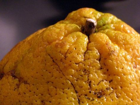 Veggie Christmas Tree, Ugli Fruit, Veggie Christmas, Fruit Nutrition Facts, Giant Vegetable, Fruit Nutrition, Noni Fruit, Yard Maintenance, Recipes Fruit