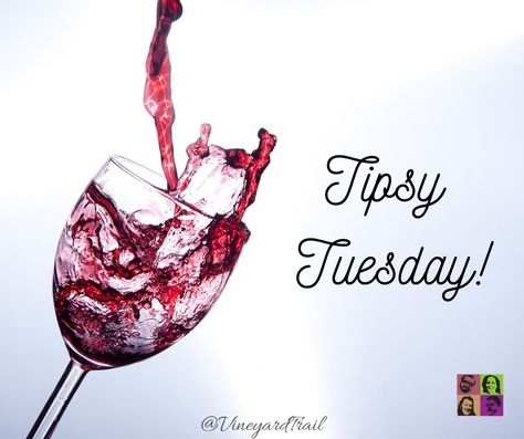 Tipsy Tuesday, Wine Quotes Funny, Tuesday Quotes, Tuesday Humor, Wine Quotes, Wine Humor, Red Wine, Alcoholic Drinks, Wine