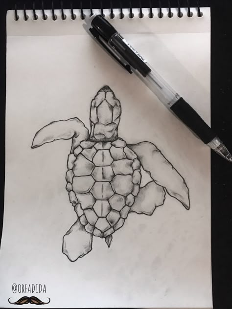 Turtle Sketch Simple, Large Turtle Tattoo, Turtle Sketch Pencil Drawings, Drawings Of Turtles, Sea Turtle Drawing Sketches, Sea Turtle Drawing Simple, Simple Turtle Drawing, Sea Turtle Sketch, Drawing Of A Turtle