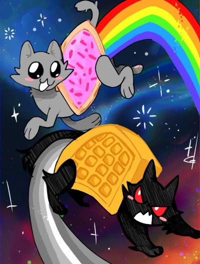 Nyan Cat And Waffle Cat, Evil Nyan Cat, Nyan Cat And Tac Nyan Matching Pfp, Nyan Cat Matching Pfps, Nyan Cat Cosplay, Nyan Cat Scene, Nyah Cat, Nyan Cat And Tac Nyan, Nyan Cat Wallpapers