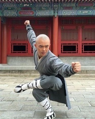 Kung Fu Poses Reference, Martial Art Poses, Monk Poses, Kung Fu Poses, 남성 근육, Kung Fu Martial Arts, Shaolin Kung Fu, Action Pose Reference, Pencak Silat