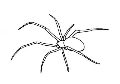 Spider Tattoo Easy, How To Draw A Spider Step By Step, Spider Easy Drawing, How To Draw A Spider, Spider Drawing Easy, Easy Spider Drawing, Draw A Spider, Dragon Tattoo Drawing, Spider Drawing