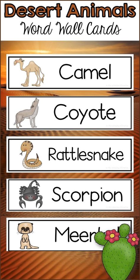 Are your students learning about the Desert? These word wall cards are perfect for introducing new vocabulary words. Each word contains a colored picture with the vocabulary word. There are 18 Desert word wall cards in this packet. Desert Animal Crafts, Desert Animals Crafts, Desert Preschool, Desert Words, Desert Crafts, Desert Biome, Habitats Projects, Desert Theme, New Vocabulary