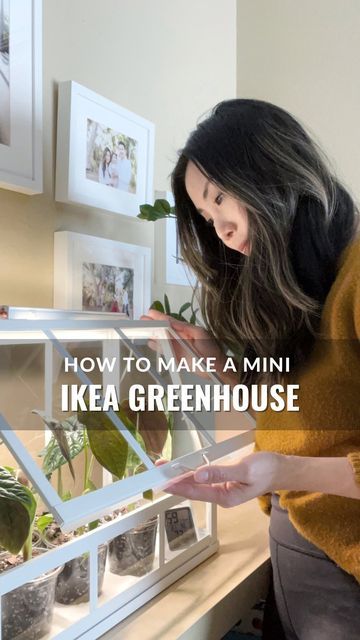 Herb Greenhouse Mini, Mini Indoor Greenhouse Diy, Diy Balcony Greenhouse, Indoor Herb Greenhouse, Indoor Herb Garden Diy Mini Greenhouse, Indoor Greenhouse Ikea, Ikea Plant Hack, Plant Greenhouse Indoor, Ikea Greenhouse Ideas