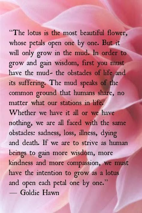 ...if we are to strive as human beings to gain more wisdom, more kindness and more compassion, we must have the intention to grow as a lotus and open each petal one by one. Lotus Quote, Inspirerende Quotes, Goldie Hawn, Celebration Quotes, Image Quotes, Meaningful Quotes, Lotus Flower, Spiritual Quotes, Words Quotes