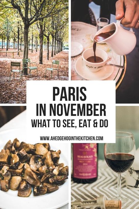 Paris in November - What to See, Do and Eat from Locals - A Hedgehog in the Kitchen Paris In November, Paris In December, Paris In The Fall, Visiting Paris, Paris Itinerary, Paris Travel Tips, Paris France Travel, Paris Guide, Paris Travel Guide