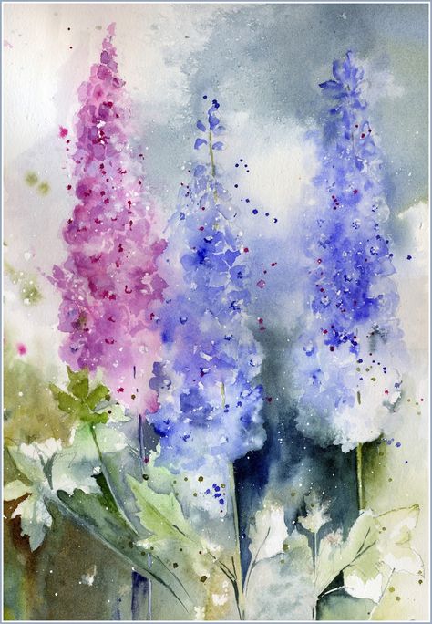 Here is my final selection of approaches, this time Delphiniums. I have tried endlessly to grow these in my garden, both in the soil and in...