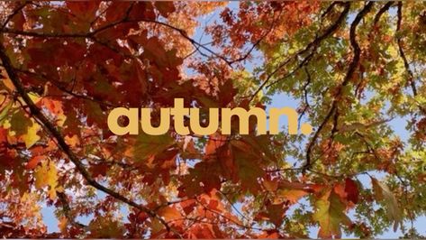 for @mollysue0883 !! - made by me in canva :) - #banner #autumn Autumn Banner, Fall Banner, Facebook Banner, Twitter Banner, Cozy Fall