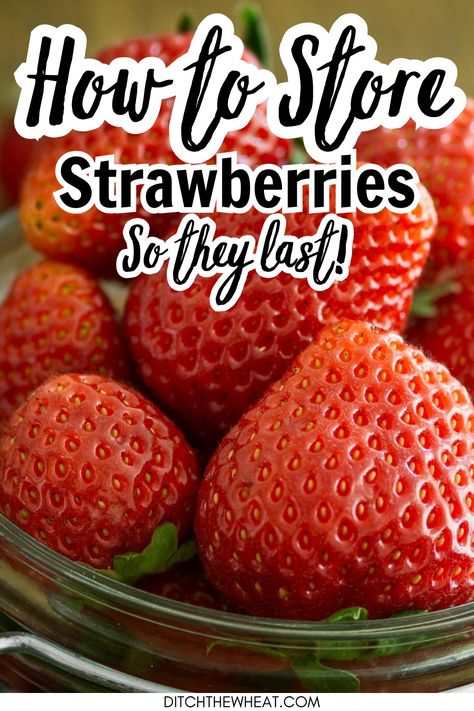 Learn how to properly store strawberries to keep them fresh longer by using these simple tips for longer-lasting, delicious berries. The secret is how to clean strawberries so they last extra long. https://www.rfr.bz/pljgc35 Moldy Strawberries, How To Clean Strawberries, Store Strawberries, Strawberry Vinegar, How To Store Strawberries, Fruit Hacks, Gluten Free Meal Plan, Food Substitutions, How To Store