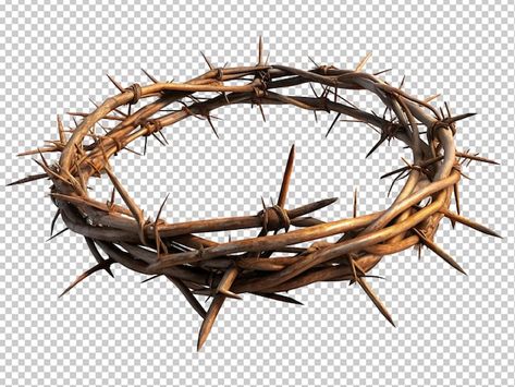 Crown Thorns, Thorn Crown, The Crown Of Thorns, Crown Of Thorns, Graphic Resources, Jesus, Crown, Quick Saves