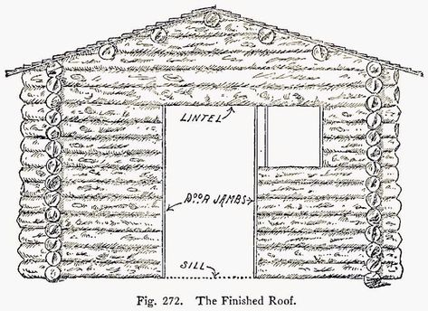 Trappers Cabin, How To Build A Log Cabin, Bushcraft Shelter, Roof Beam, American Boy, Tiny Cabins, Small Cabin, Cabin Plans, Cabins And Cottages