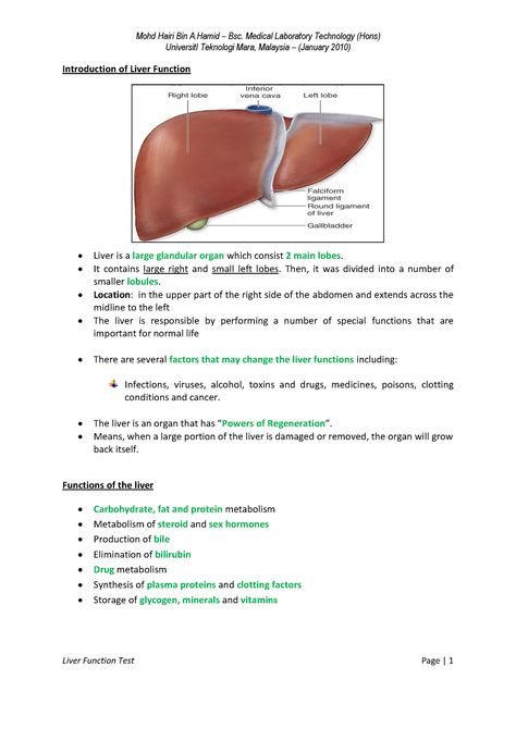 76879668 Liver Function Test - UniversitI Teknologi Mara, Malaysia – (January 2010) Introduction of - StuDocu Liver Notes Anatomy, Liver Function Test Notes, Liver Notes, Biology Hacks, Mlt Notes, Diagnostic Medical Sonography Student, Liver Anatomy, Bilirubin Levels, Med Notes