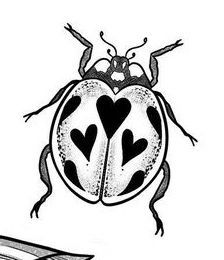 Heart Shaped Ladybug Tattoo, Lady Beetle Drawing, Small Bug Drawing, Old School Ladybug Tattoo, Ladybug Tattoo Drawing, Lady Bug Fine Line Tattoos, Ladybug With Hearts Tattoo, Ladybug Heart Tattoo, Love Bug Tattoo Ideas