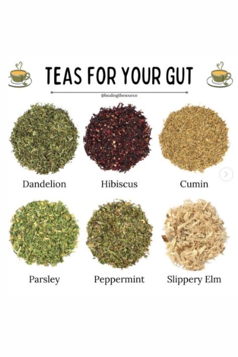 Healthy Gut Diet, African Herbs, Easy Teas, Gut Health Diet, Best Herbal Tea, Healing Tea, Gut Health Recipes, Health Tea, Herbal Healing