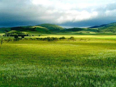 Grassland Biome, Golf Course Photography, Golf Photography, Open Field, Natural Perfume, Nature Travel, Natural Oils, Mother Nature, Beautiful Nature