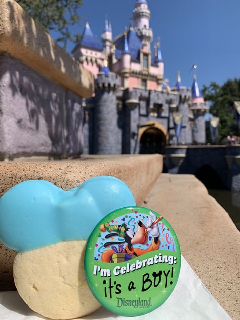 Gender Reveal At Disneyland, Disney Balloon Gender Reveal, Gender Reveal Disneyland, Disney Gender Reveal Cake, Disney World Gender Reveal Ideas, Gender Reveal At Disney World, Disneyland Maternity Photoshoot, Disneyland Gender Reveal, Disneyland Baby Announcement