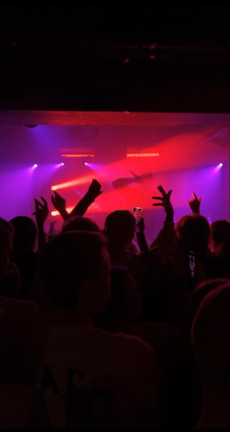 People hands up at nightclub purple and red lighting Clubbing Pictures, Power Book, Nightlife Party, Nightclub Aesthetic, Trio Halloween Costumes, Party Night Club, 29th Birthday, Watch This Space, Party Night