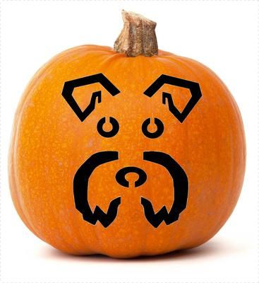 Schnauzer Pumpkin Face:  Everyone loves a carved pumpkin, with an illuminating candle on Halloween. So for Schnauzer Lovers, here's a twist on the ole Jack O lantern.......... Schnauzer Pumpkin Carving, Puppy Pumpkin Carving, Schnauzer Pumpkin, Dog Pumpkin Carving, Pumpkin Carving Stencils Easy, Pumpkin Carving Games, Puppy Pumpkin, Pumpkin Carve, Dog Stencil