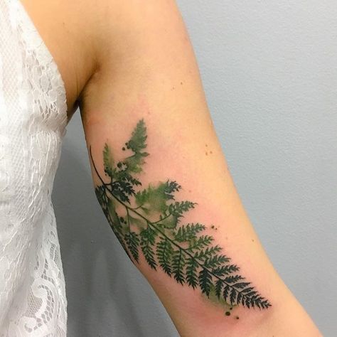 Half Sleeve Tattoo Template, Birthdate Tattoo, Unique Half Sleeve Tattoos, Plant Tattoos, Dragons Tattoo, Glyph Tattoo, Mother Nature Tattoos, Nature Tattoo Sleeve, Fern Tattoo