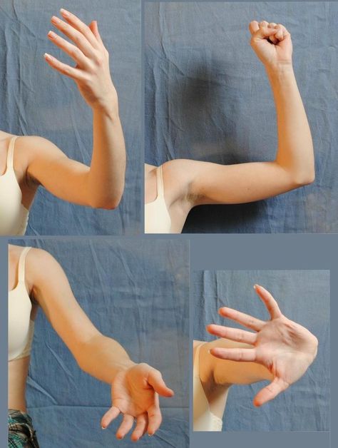 Arm Anatomy, Arm Drawing, Hand Drawing Reference, Figure Reference, Body Reference Drawing, Hand Reference, Human Reference, Body Reference Poses, Human Poses Reference