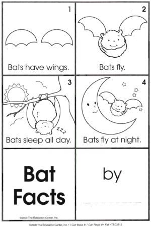 Bat Facts Activities Science Halloween, Bats Unit, Bats Activities, Bat Facts, October School, October Ideas, October Activities, Fall Kindergarten, Halloween Preschool