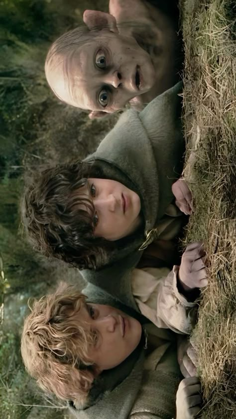 Lord Of The Rings Frodo, Legolas And Aragorn, Lotr Aesthetic, Frodo And Sam, Samwise Gamgee, J.r.r. Tolkien, Concerning Hobbits, Lotr Funny, Middle Earth Art