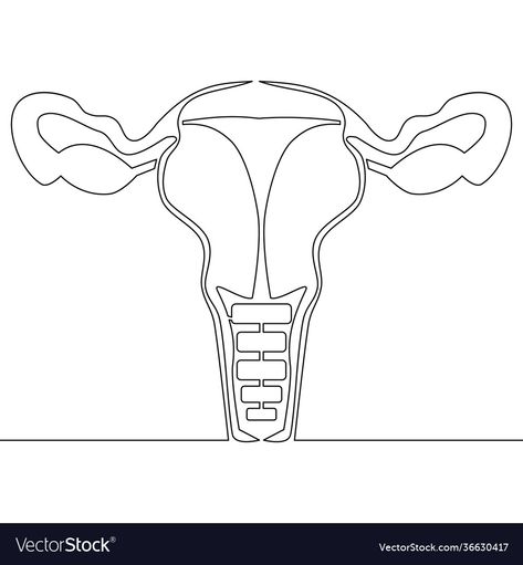 Uterus Line Drawing, Uterus Drawing, Single Line Drawing, Continuous Line Drawing, Continuous Line, Single Line, Shirt Ideas, Line Drawing, Adobe Illustrator