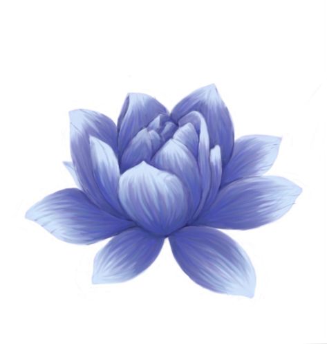 Blue Lotus Flower Drawing, Lotus Sketch Drawing, Lotus Drawing Tattoo, Blue Lotus Flower Tattoo, Lotus Flower Sketch, Buddhist Tattoo Sleeve, Purple Lotus Tattoo, A Flower Drawing, Lotus Flower Blue