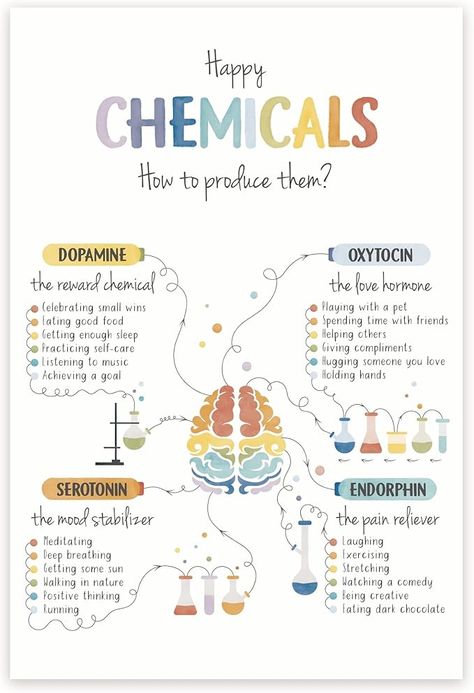 Amazon.com: Happy Chemicals Poster - Neurobiology Poster - Dopamine Oxytocin Serotonin Endorphin - Neurochemistry Brain Chart - 12 x 18 Inch Poster - Unframed - Premium 100lb Gloss - Made In USA - BMCP0324: Posters & Prints Dopamine Serotonin Oxytocin, Cheap Dopamine, Biochemistry Art, Chemical Chart, Happiness Chemicals, Neurology Art, Brain Chemicals, Giving Compliments, Chemistry Activities