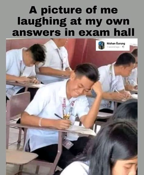 Exams Memes, Student Jokes, Studying Memes, Exams Funny, Exam Quotes Funny, Funny Memes Images, Meme Page, Student Humor, Funny School Jokes