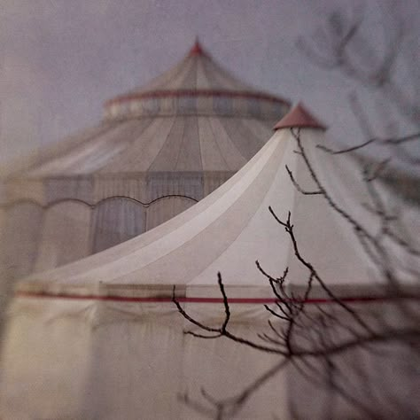 circus Circus Aesthetic, Circus Sideshow, Dark Circus, Creative Juice, Night Circus, Mood Images, Dreamy Photography, Circus Tent, Pantomime