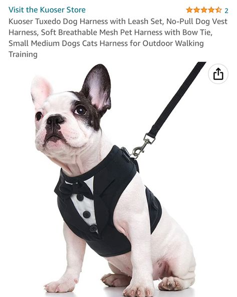 #affiliate Wedding Suit With Bow Tie, Suit With Bow Tie, Formal Dog, Bow Tie Party, Bow Tie Suit, No Pull Dog Harness, Dog Tuxedo, Dog Suit, Dog Vest Harness