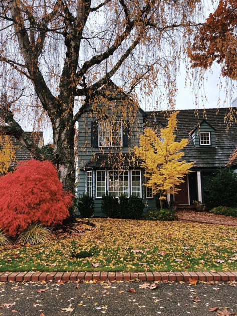 Cozy Neighborhood Aesthetic, Fall Neighborhood, Highland Park Dallas, Autumn Drive, America Aesthetic, Halloween Street, Seattle Neighborhoods, Cozy Library, Leaves Changing Color