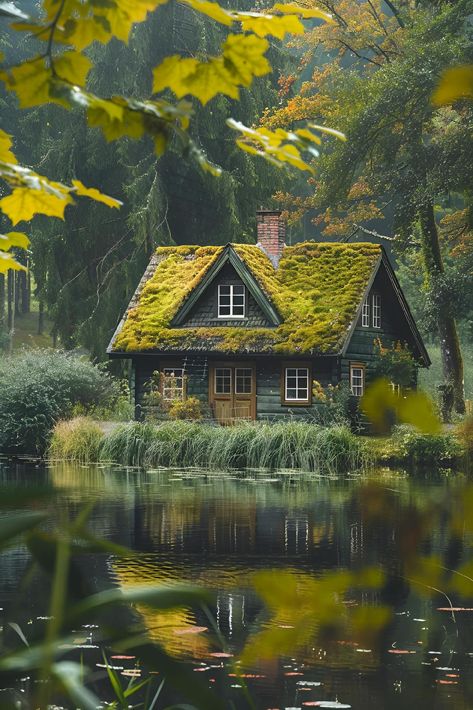 "Ever imagined a hidden oasis in the woods? This quaint cabin, nestled among towering trees, offers just that with its lush, moss-covered roof blending beautifully into nature. A serene pond mirrors the peaceful ambiance, creating a whimsical retreat. Save and follow if you yearn for nature's embrace!✨ The synergy of wood, water, and wilderness is pure magic. #EcoSanctuary #NatureRetreat #MossRoof #ArtPrint #ImagePrompt #AIImg #Greenbubble" Oasis In The Woods, Moss Roof, Quaint Cabin, Hidden Oasis, Moss Covered, Green Bubble, Sell Photos, Eco Living, Visual Content