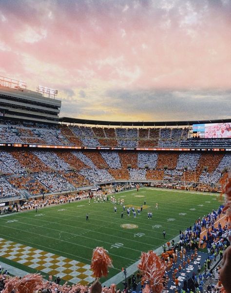 University If Tennessee, University Of Tennessee Football, Tennessee Vols Aesthetic, University Of Tennessee Dorm, University Of Tennessee Aesthetic, Tennessee College Football, U Of Tennessee, Tn Vols Football, Univ Of Tennessee