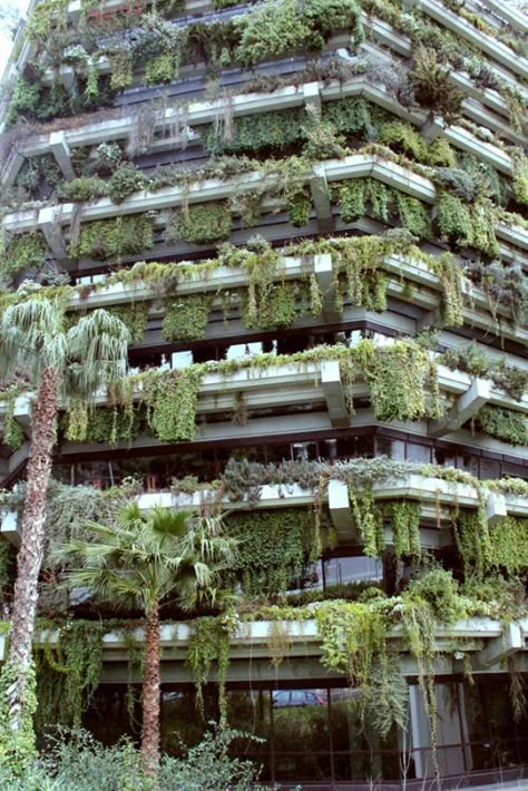 Barcelona spain, vertical gardens ..... https://www.pinterest.com/firststeps/rooftop-gardens/ Green Facade, Plants Growing, Green Architecture, Green City, Hanging Garden, Concrete Jungle, Green Building, Green Wall, Vertical Garden