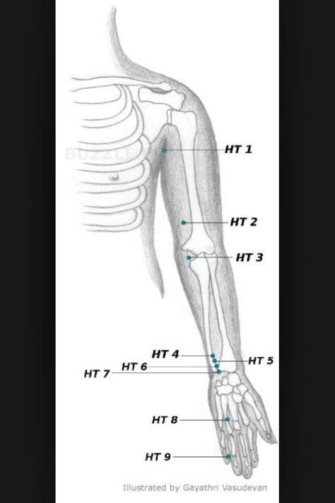 Heart meridian Fire Yin Heart Meridian Points, Lung Meridian, Heart Meridian, Acupressure Points Chart, Meridian System, Polarity Therapy, Meridian Energy, Healing Naturally, Meridian Points