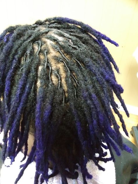 Locs Men Color, Dark Blue Locs Men, Purple Locs Men, Purple Dreads Men, Dyed Locs Men, Purple Locs, Short Dread Styles, Female Dreads, Purple Dreads