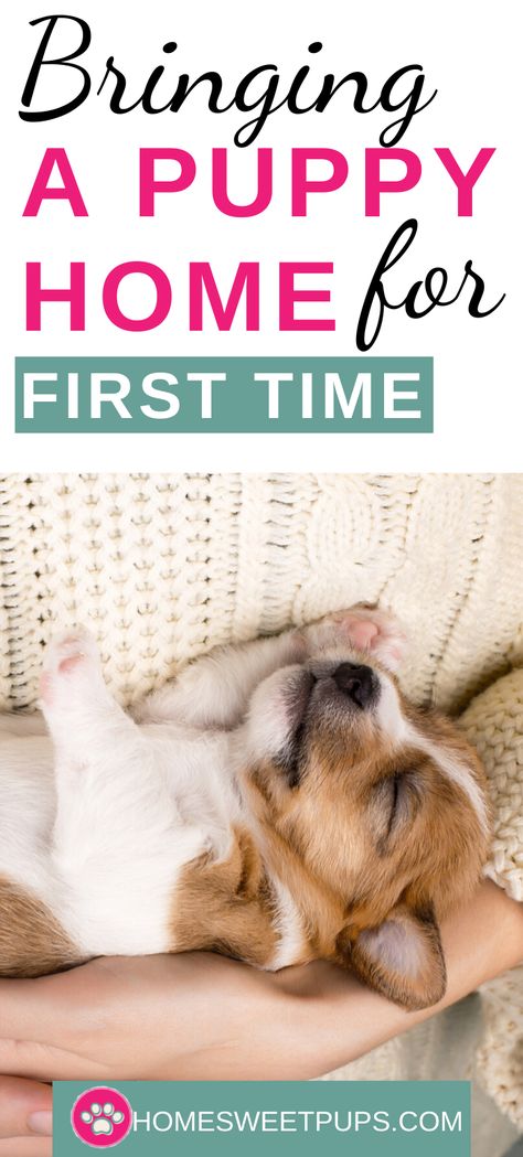 Puppies First Night Home, Puppy First Night Home, First Puppy Essentials, Puppy Essentials List, Puppy Playpen Ideas, First Night With Puppy, First Time Tips, Husky Training, Puppy Essentials